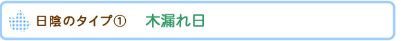 ���A�̃^�C�v�@�@�ؘR���