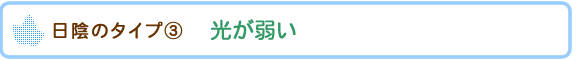 ���A�̃^�C�v�B�@�����ア