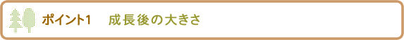 庭木を選ぶポイント1