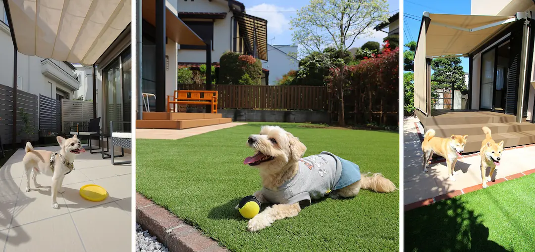 愛犬が喜ぶお庭作りのポイント